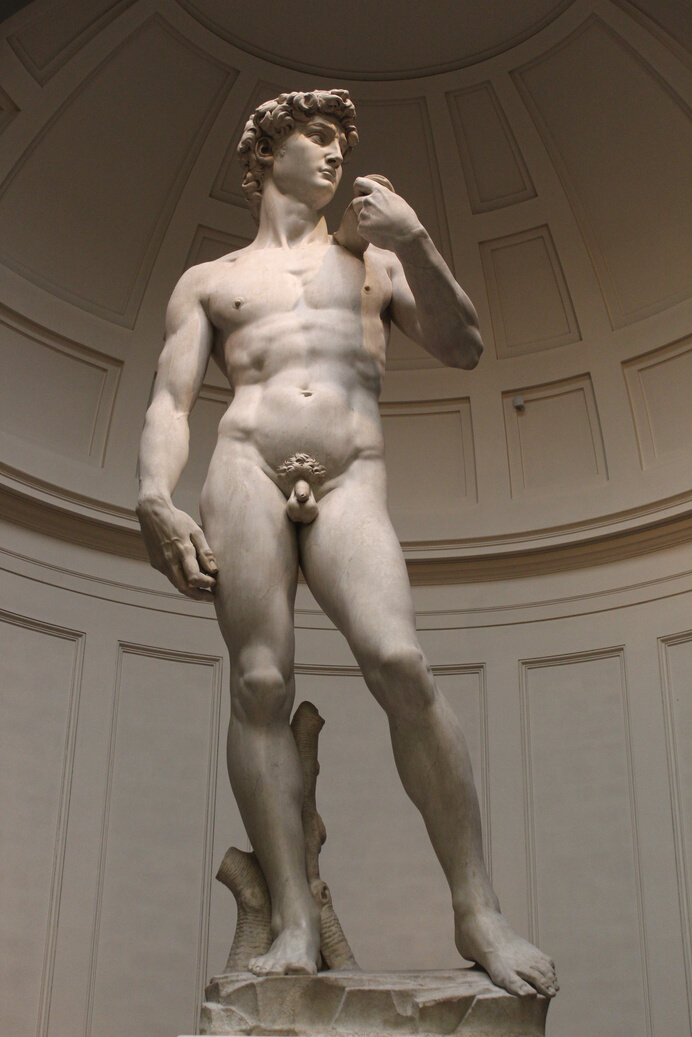  The David of Michelangelo